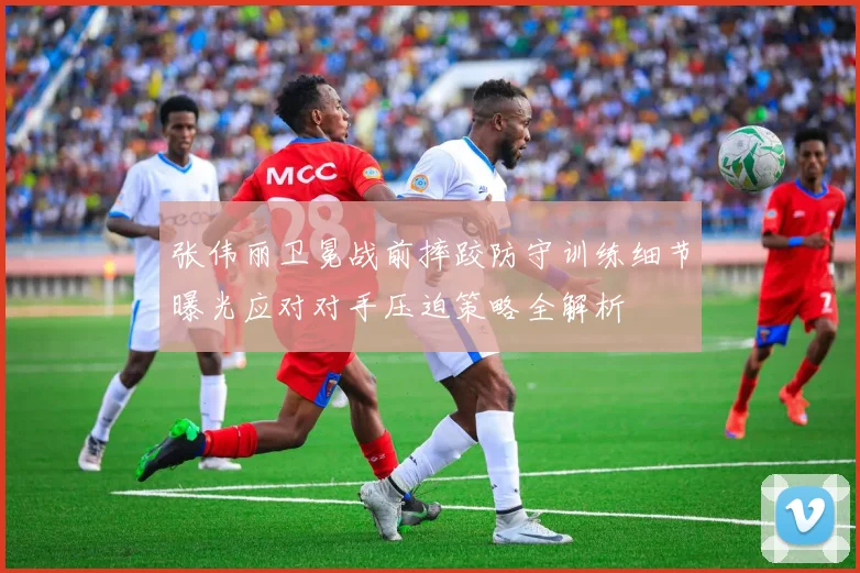张伟丽卫冕战前摔跤防守训练细节曝光应对对手压迫策略全解析